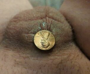 Tiniest of little Penny Bone