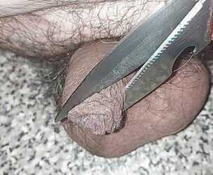 Cock ball torture Tiny little Stiffy